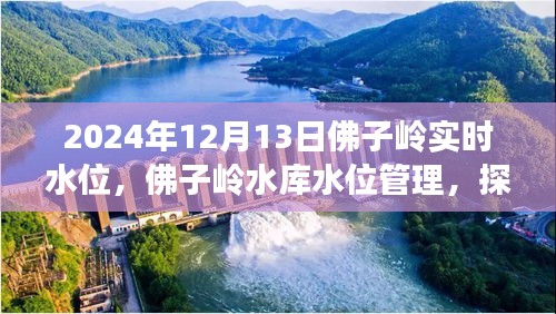 佛子嶺水庫(kù)水位管理，實(shí)時(shí)水位監(jiān)測(cè)與觀點(diǎn)闡述