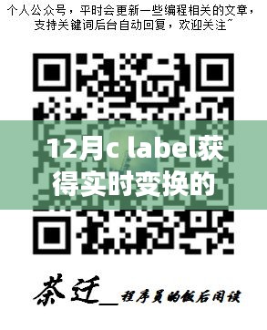 十二月C語言標(biāo)簽實(shí)現(xiàn)動(dòng)態(tài)數(shù)據(jù)獲取，實(shí)時(shí)變化值獲取方法