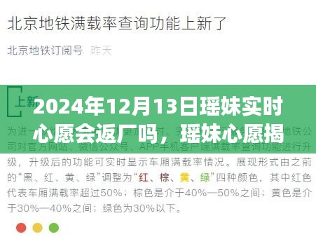瑤妹心愿揭秘，探尋自然美景之旅與心靈返廠奇妙之旅，瑤妹實時心愿會是否會返廠？
