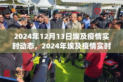 2024年埃及疫情實時動態(tài)關(guān)注指南，入門到進階全方位解讀