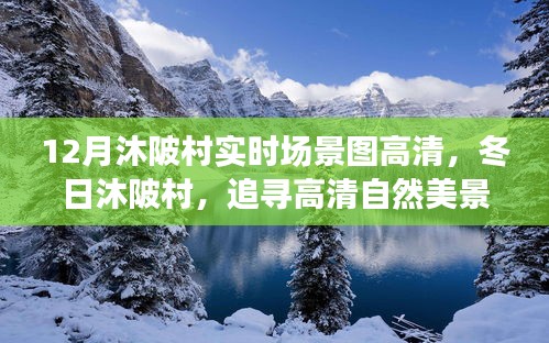 冬日沐陂村高清實時場景圖，探尋自然美景，解鎖內(nèi)心寧靜的密碼
