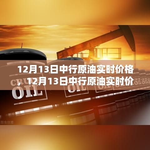 洞悉國際油價動態(tài)與行業(yè)趨勢，12月13日中行原油實時價格解析
