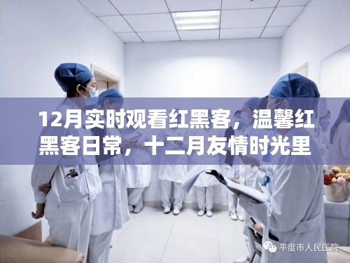 溫馨紅黑客日常，十二月友情時光的愛與陪伴