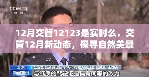 交管新動(dòng)態(tài)揭秘，探尋自然美景之旅，啟程尋找內(nèi)心的寧?kù)o與平和的啟示