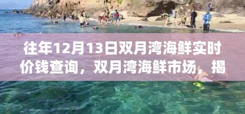 揭秘雙月灣海鮮市場，歷年12月13日海鮮實時價格變遷與故事探尋