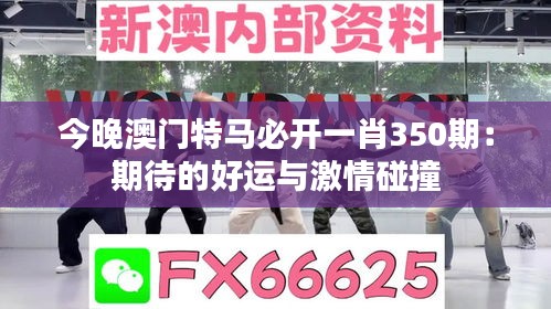 今晚澳門特馬必開一肖350期：期待的好運與激情碰撞