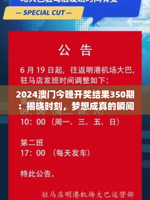 2024澳門今晚開獎結果350期：揭曉時刻，夢想成真的瞬間