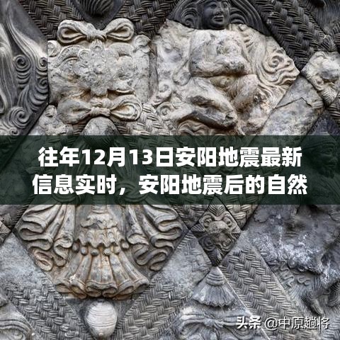 追尋內(nèi)心平靜的奇妙旅程，安陽地震后的自然探索與實時信息解讀