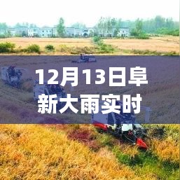 阜新市12月13日大雨事件，實時播報與觀點探析及立場闡述