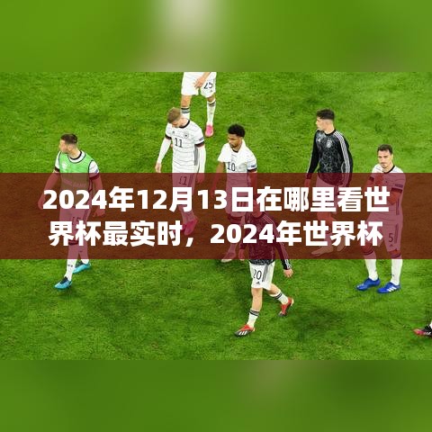 2024世界杯盛宴實(shí)時(shí)觀看指南，最佳觀賽地點(diǎn)揭秘