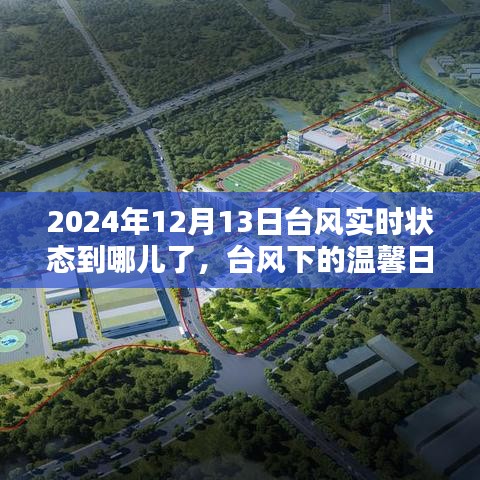 臺風下的溫馨日常與奇妙經(jīng)歷，2024年臺風實時追蹤