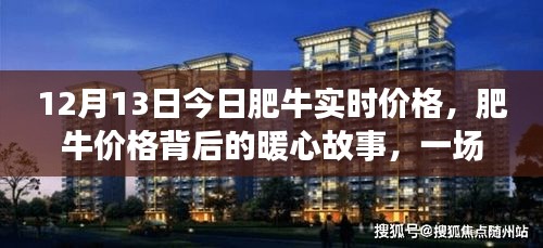 肥牛實(shí)時(shí)價(jià)格背后的暖心故事，友情與日常的小插曲
