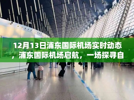 浦東國(guó)際機(jī)場(chǎng)啟航，探尋自然美景的心靈之旅實(shí)時(shí)動(dòng)態(tài)