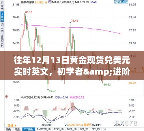 往年12月13日黃金現(xiàn)貨兌美元實(shí)時(shí)交易指南，初學(xué)者與進(jìn)階用戶必備指南及交易技巧全解析