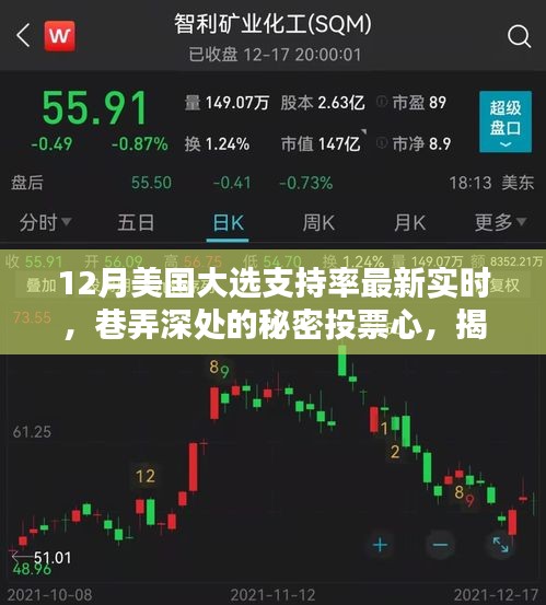 揭秘美國(guó)大選支持率變化與一家獨(dú)特小店的秘密投票心故事
