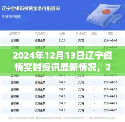 2024年12月13日遼寧疫情最新實時資訊，防控進(jìn)展與應(yīng)對策略聚焦
