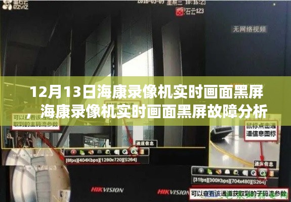 ?？典浵駲C實時畫面黑屏故障分析與解決指南（專刊）