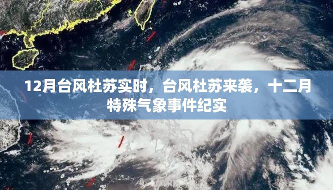 臺(tái)風(fēng)杜蘇來(lái)襲，12月特殊氣象事件實(shí)時(shí)紀(jì)實(shí)