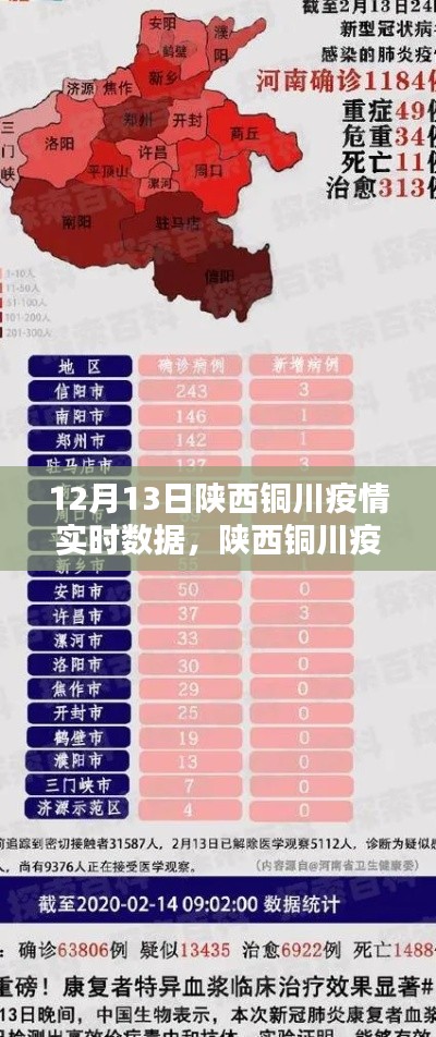 陜西銅川疫情實時數(shù)據(jù)報告，深度評測與介紹（最新更新）