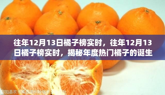 揭秘年度熱門橘子誕生與成長，歷年12月13日橘子榜實時回顧