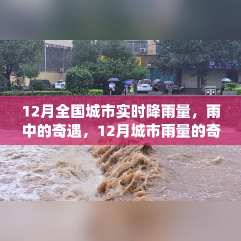 12月城市雨情，雨中奇遇與奇妙旅程的實(shí)時(shí)記錄