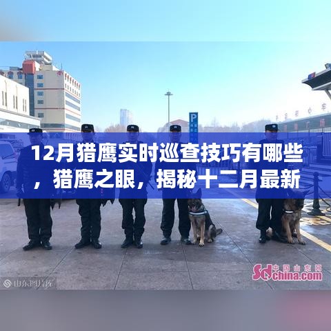 揭秘十二月獵鷹智能巡查系統(tǒng)，實(shí)時巡查技巧與高科技魅力展現(xiàn)獵鷹之眼的力量