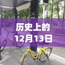歷史上的實時公交網(wǎng)誕生與發(fā)展回顧，聚焦十二月十三日的重要時刻