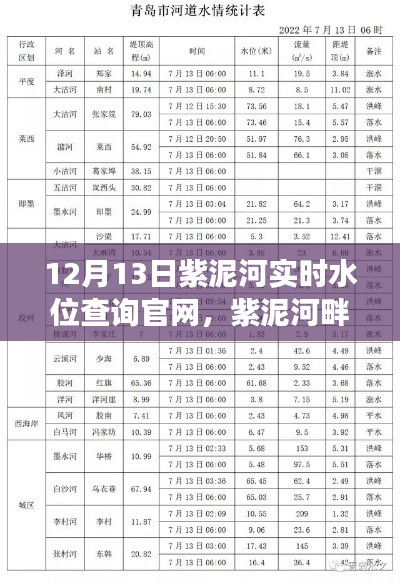 紫泥河溫情水位與家的故事，實時水位查詢官網(wǎng)揭秘