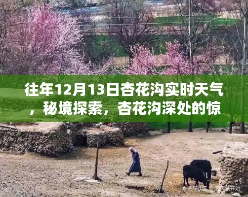 揭秘杏花溝秘境，特色小店與實(shí)時(shí)天氣探索之旅