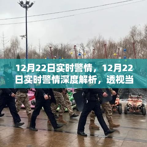 12月22日警情透視，實(shí)時(shí)治安動(dòng)態(tài)與深度影響解析