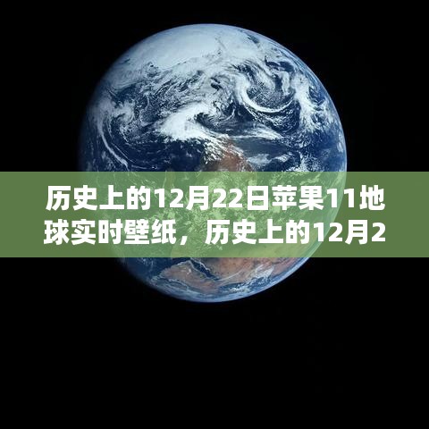 東張西望 第3頁(yè)