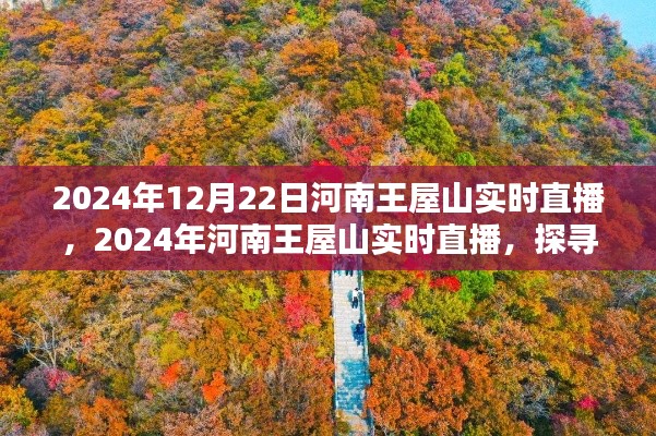河南王屋山自然秘境探尋，多元觀點(diǎn)的實(shí)時直播之旅（2024年12月22日）