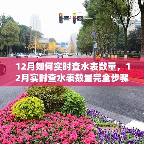 12月水表實(shí)時(shí)查數(shù)量完全指南，初學(xué)者與進(jìn)階用戶的步驟教程