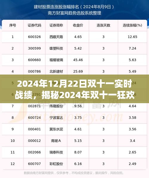 揭秘2024年雙十一狂歡盛宴，12月22日實(shí)時(shí)戰(zhàn)績火熱出爐，購物狂歡節(jié)回顧與展望