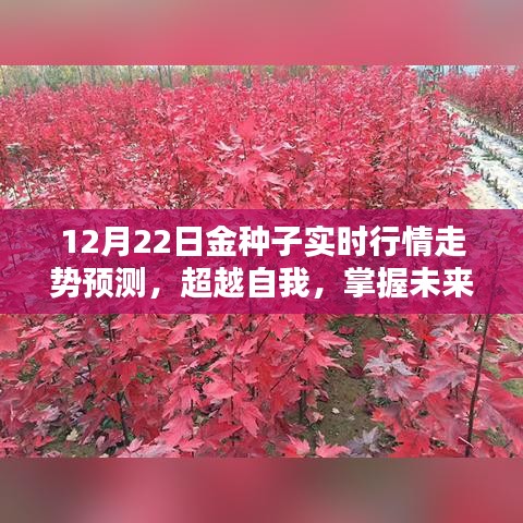 超越自我，掌握未來，金種子實(shí)時(shí)行情走勢預(yù)測與勵(lì)志篇章揭秘