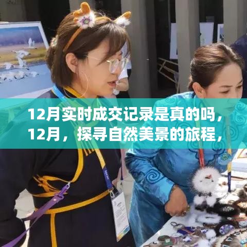 探尋自然美景的旅程，揭秘十二月實時成交記錄的真實與美好