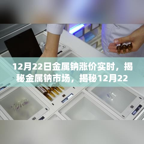 揭秘金屬鈉市場，漲價背后的實時動態(tài)（12月22日更新）