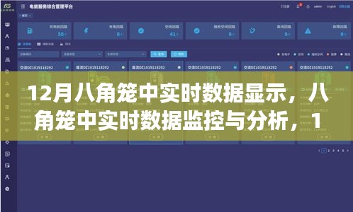 12月八角籠中實時數(shù)據(jù)監(jiān)控與分析，操作指南及數(shù)據(jù)解讀