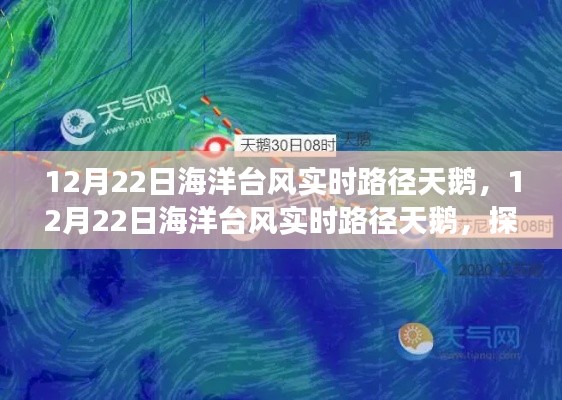 探尋臺風天鵝的神秘之旅，最新實時路徑追蹤報告（12月22日）