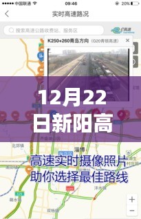 半截鳥木 第3頁(yè)