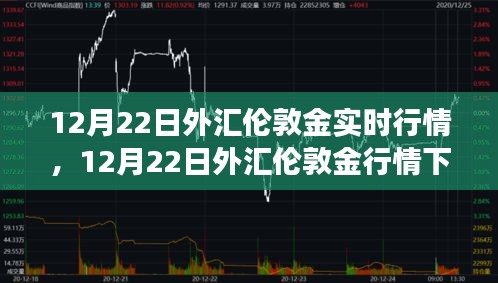12月22日外匯倫敦金行情下的心靈之旅，探尋自然寶藏，擁抱內(nèi)心寧靜