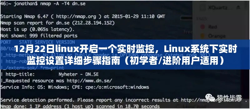 Linux系統(tǒng)實時監(jiān)控設(shè)置指南，從初學(xué)者到進階用戶的詳細步驟（12月22日更新）