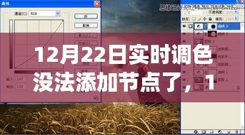 12月22日實(shí)時(shí)調(diào)色功能受限，性能、體驗(yàn)與競(jìng)品對(duì)比深度解析