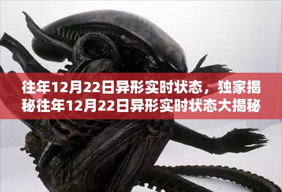 獨家揭秘，往年12月22日異形實時狀態(tài)揭秘，驚人細節(jié)曝光！