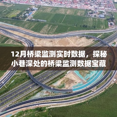 探秘隱藏版特色小店，揭秘十二月橋梁監(jiān)測數(shù)據(jù)寶藏與小巷深處的非凡故事