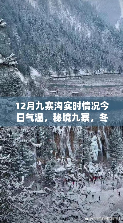 秘境九寨冬日探秘，今日氣溫與十二月九寨溝實(shí)時(shí)情況揭秘