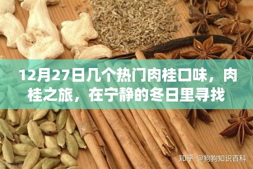 寧?kù)o冬日里的肉桂之旅，探索熱門(mén)口味的心靈香料之旅