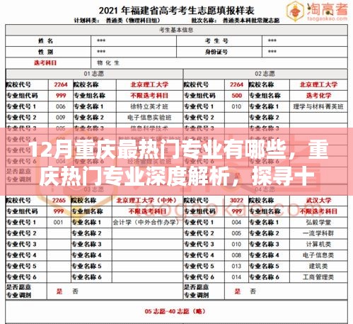 重慶十二月熱門專業(yè)深度解析，探尋最炙手可熱的行業(yè)領(lǐng)域