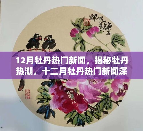 揭秘十二月牡丹熱潮，熱門新聞深度解析
