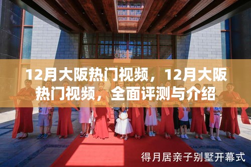 大阪十二月熱門視頻全面評測與介紹